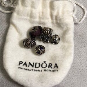 Pandora Charms